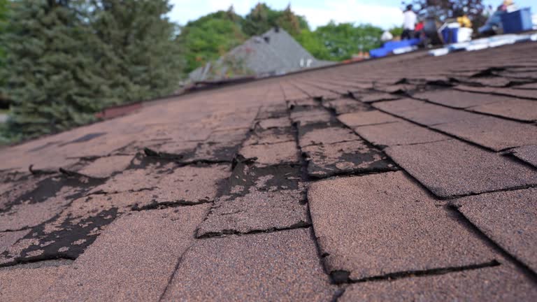 Best Asphalt Shingle Roofing  in Valley View, PA